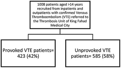 Clinical epidemiology of venous thromboembolic disease: An institutional registry